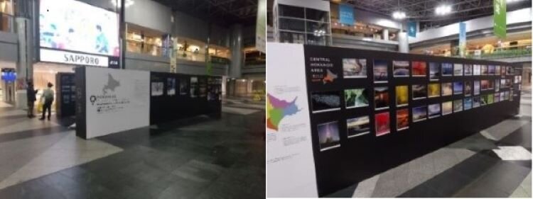 北海道撮影ポイントランキング年間グランプリ展の展示会場の様子。北海道内で撮影された風景や自然の写真作品がパネル展示されている。